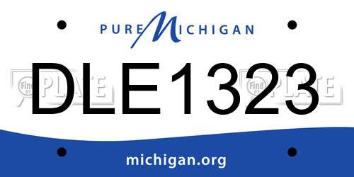 DLE1323 Michigan License Plate