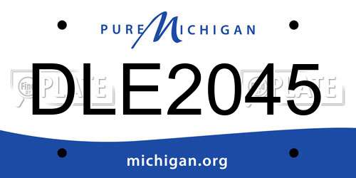 DLE2045 Michigan License Plate