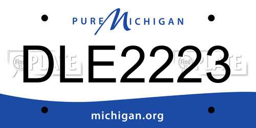 DLE2223 Michigan License Plate