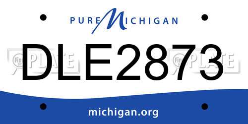 DLE2873 Michigan License Plate