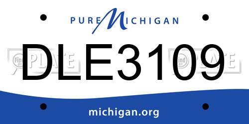 DLE3109 Michigan License Plate