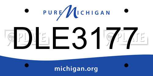 DLE3177 Michigan License Plate