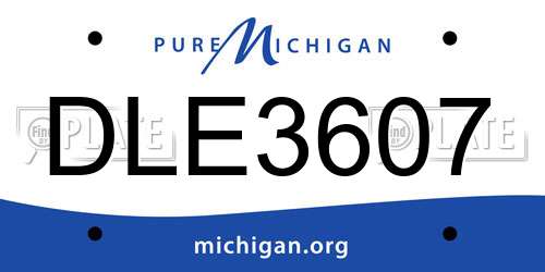 DLE3607 Michigan License Plate