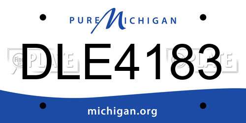 DLE4183 Michigan License Plate