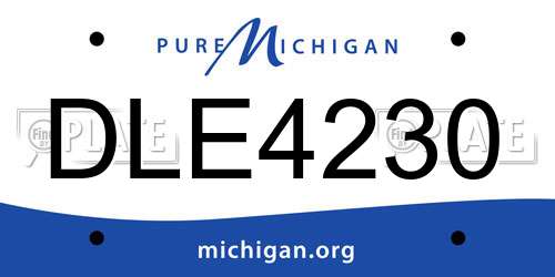 DLE4230 Michigan License Plate