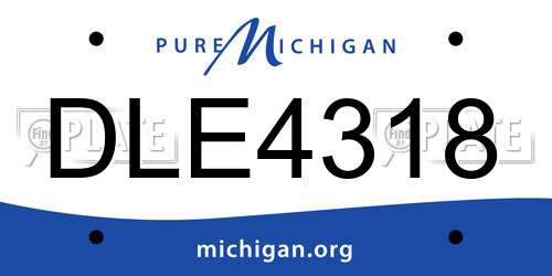 DLE4318 Michigan License Plate