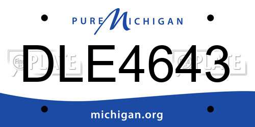 DLE4643 Michigan License Plate