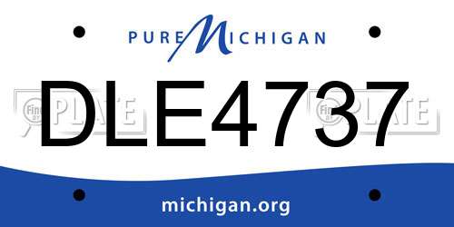 DLE4737 Michigan License Plate