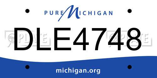 DLE4748 Michigan License Plate