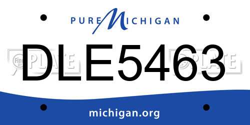 DLE5463 Michigan License Plate
