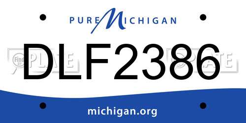DLF2386 Michigan License Plate
