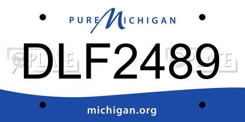 DLF2489 Michigan License Plate