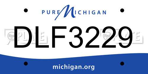 DLF3229 Michigan License Plate