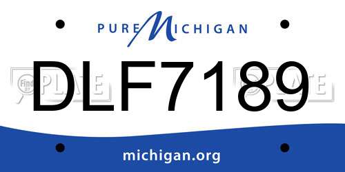 DLF7189 Michigan License Plate