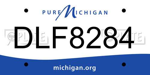 DLF8284 Michigan License Plate