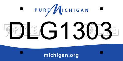 DLG1303 Michigan License Plate