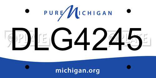 DLG4245 Michigan License Plate