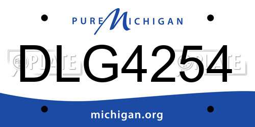 DLG4254 Michigan License Plate