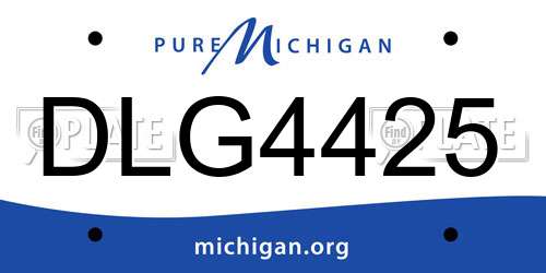 DLG4425 Michigan License Plate