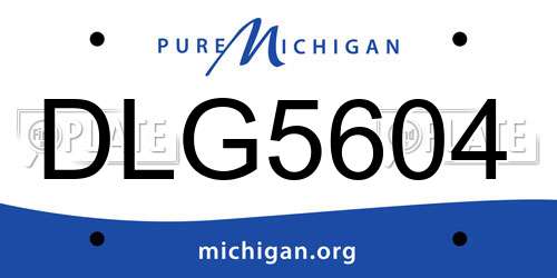 DLG5604 Michigan License Plate