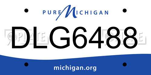 DLG6488 Michigan License Plate