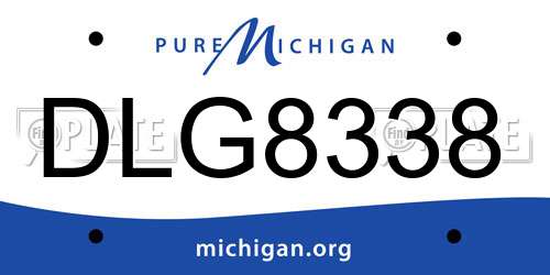 DLG8338 Michigan License Plate