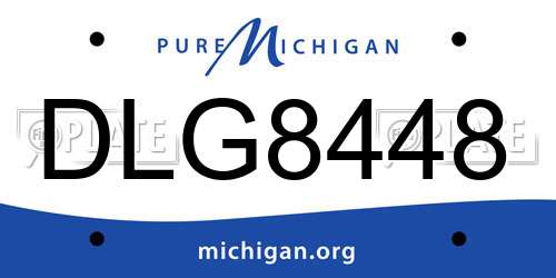 DLG8448 Michigan License Plate