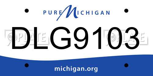 DLG9103 Michigan License Plate