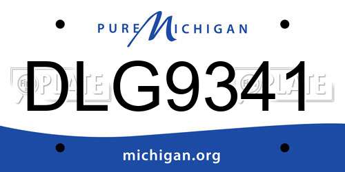 DLG9341 Michigan License Plate