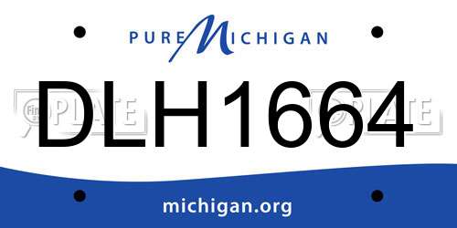 DLH1664 Michigan License Plate