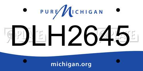 DLH2645 Michigan License Plate