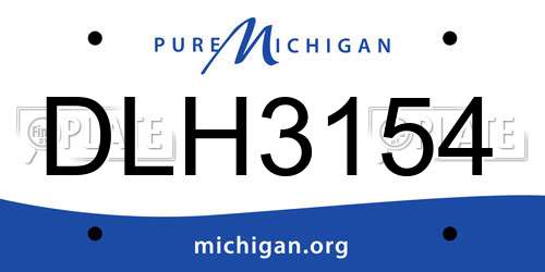 DLH3154 Michigan License Plate