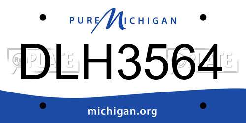 DLH3564 Michigan License Plate