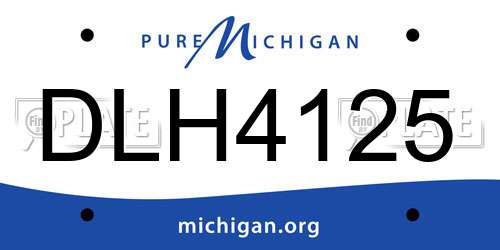 DLH4125 Michigan License Plate