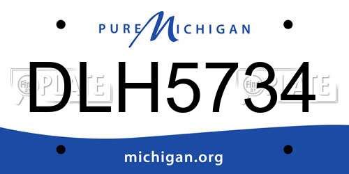 DLH5734 Michigan License Plate