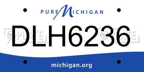 DLH6236 Michigan License Plate