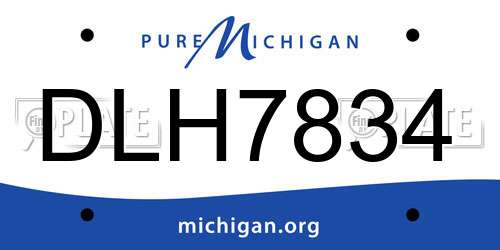 DLH7834 Michigan License Plate