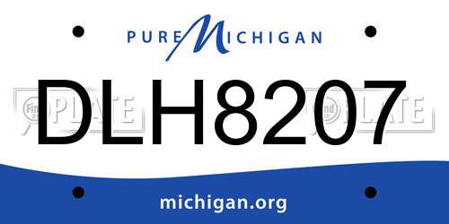 DLH8207 Michigan License Plate