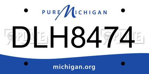 DLH8474 Michigan License Plate