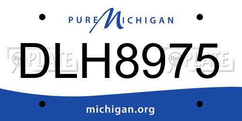 DLH8975 Michigan License Plate