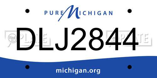 DLJ2844 Michigan License Plate