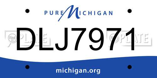 DLJ7971 Michigan License Plate
