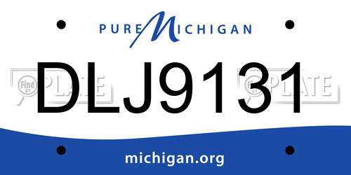 DLJ9131 Michigan License Plate