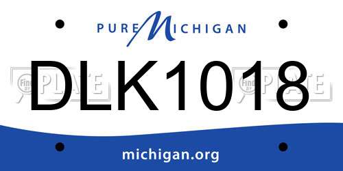 DLK1018 Michigan License Plate