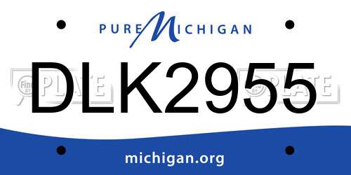 DLK2955 Michigan License Plate