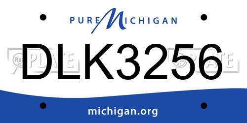 DLK3256 Michigan License Plate