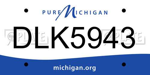 DLK5943 Michigan License Plate