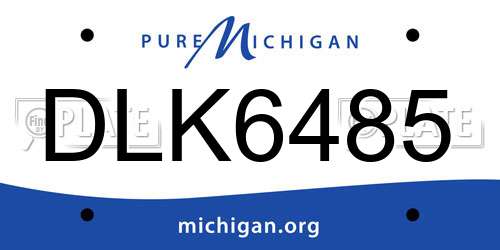 DLK6485 Michigan License Plate