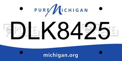 DLK8425 Michigan License Plate