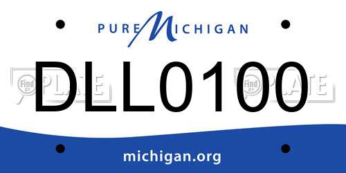 DLL0100 Michigan License Plate